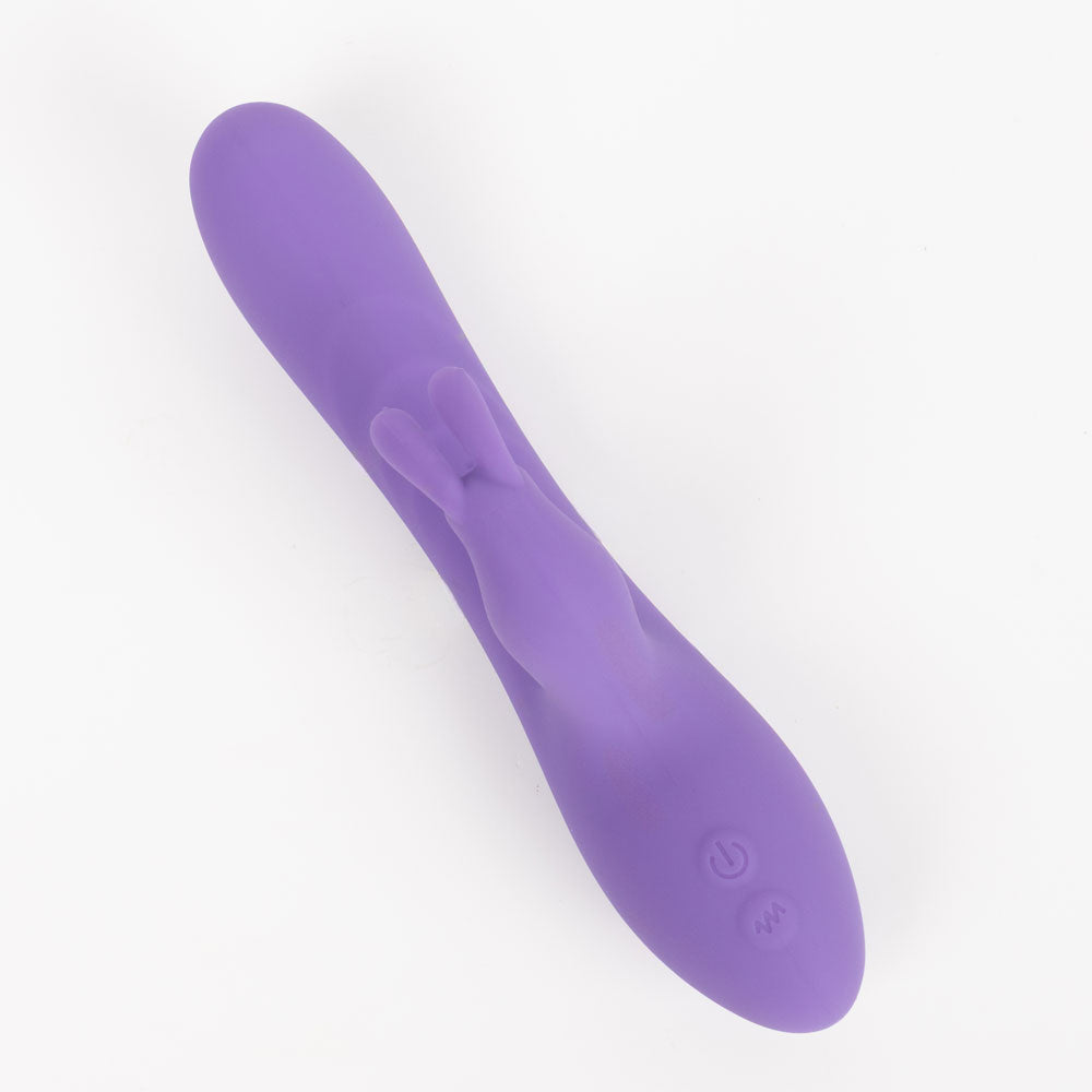 Mini rabbit Toronto